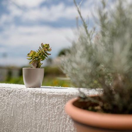 Apartman Jasmina Banjol Buitenkant foto