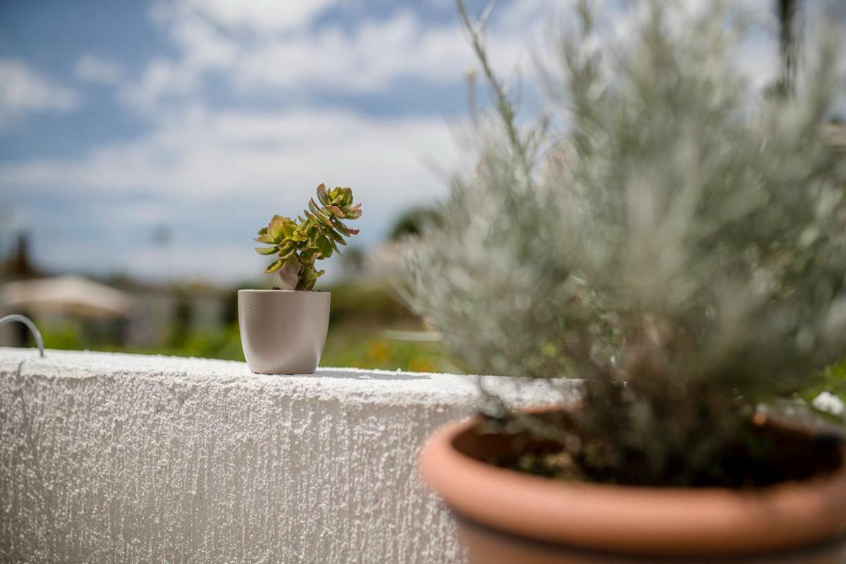 Apartman Jasmina Banjol Buitenkant foto